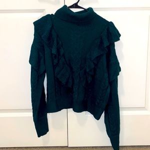 Sweater/ Turtle Neck